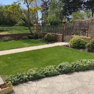 Anne's garden