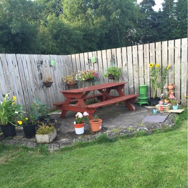 Sharon's garden