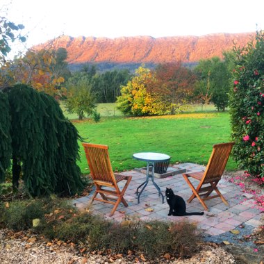 Annie's garden