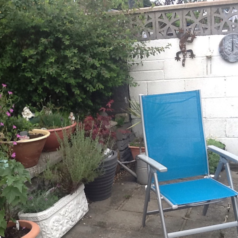 Ann's garden