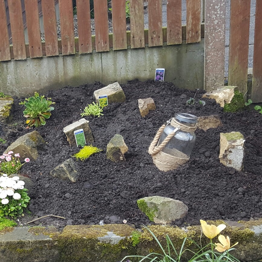 Lynda's garden