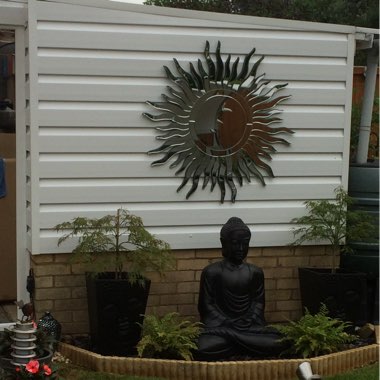 Sue's garden