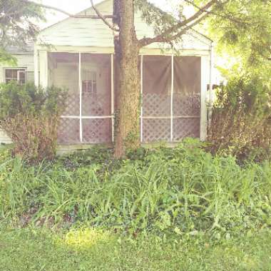 Andrea's garden