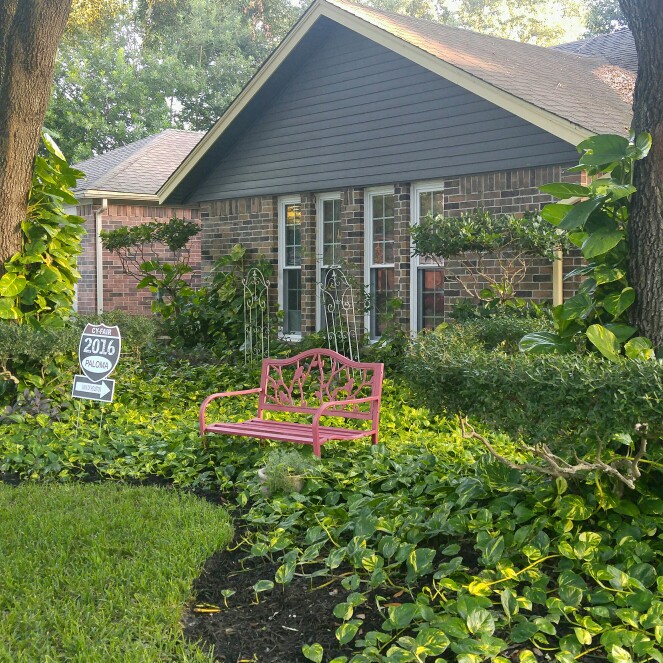 Brenda's garden