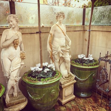 Guy's garden