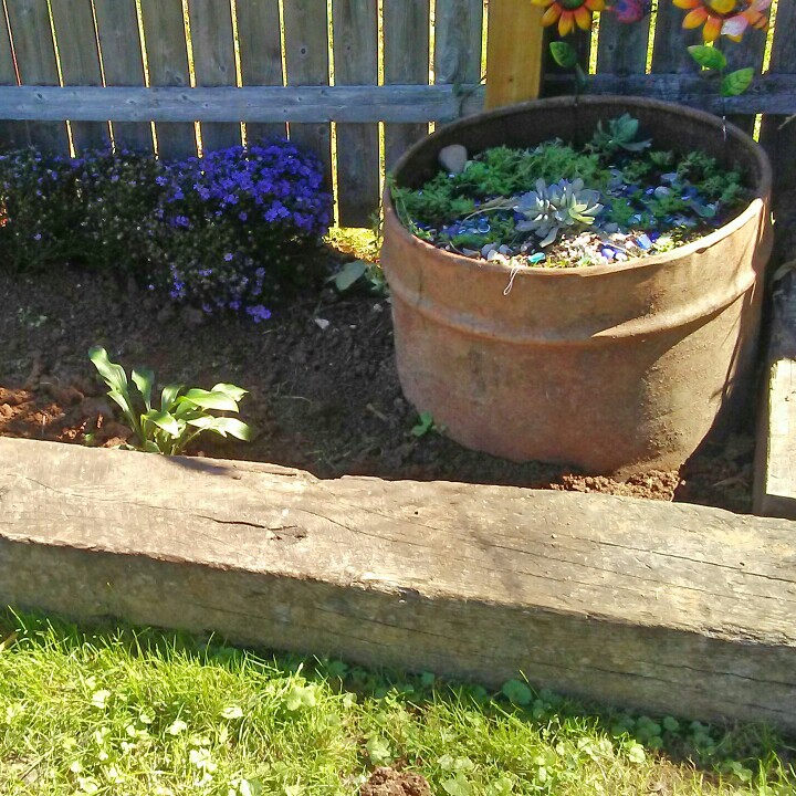 Ashley's garden