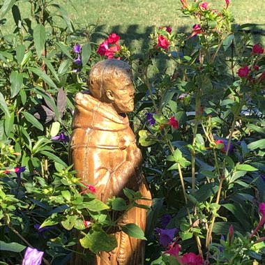 Sheri's garden