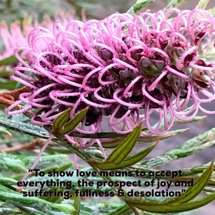 plant image 1514697