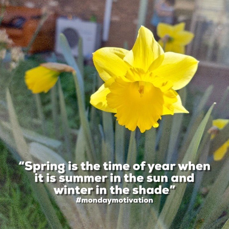 plant image 1530040