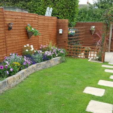 Avril's garden