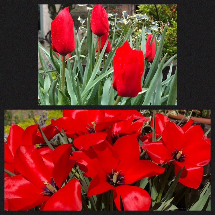 plant image 1584046