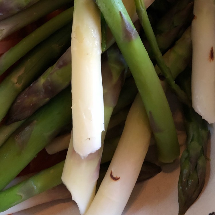 plant image 688833