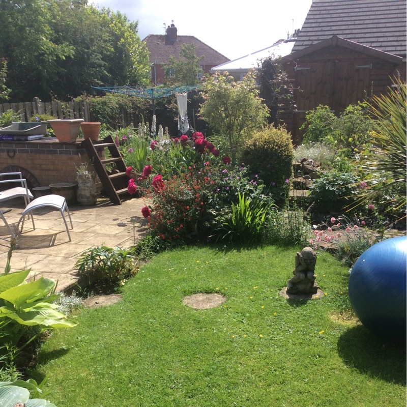 Janice's garden