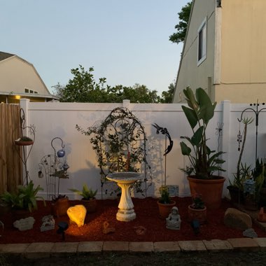 Deb's garden