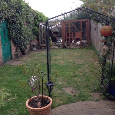 Becky's garden