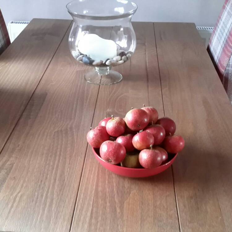 Plant image Malus domestica 'Cox's Orange Pippin'