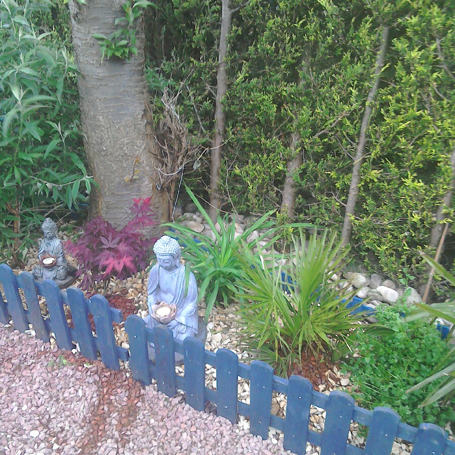 Jacqueline's garden