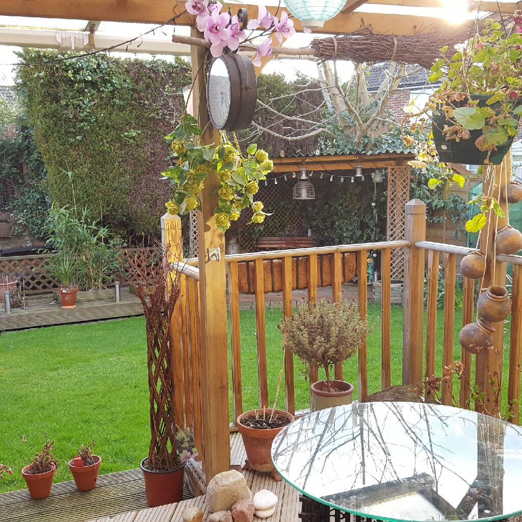 Belle's garden