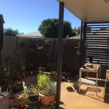 Karen's garden