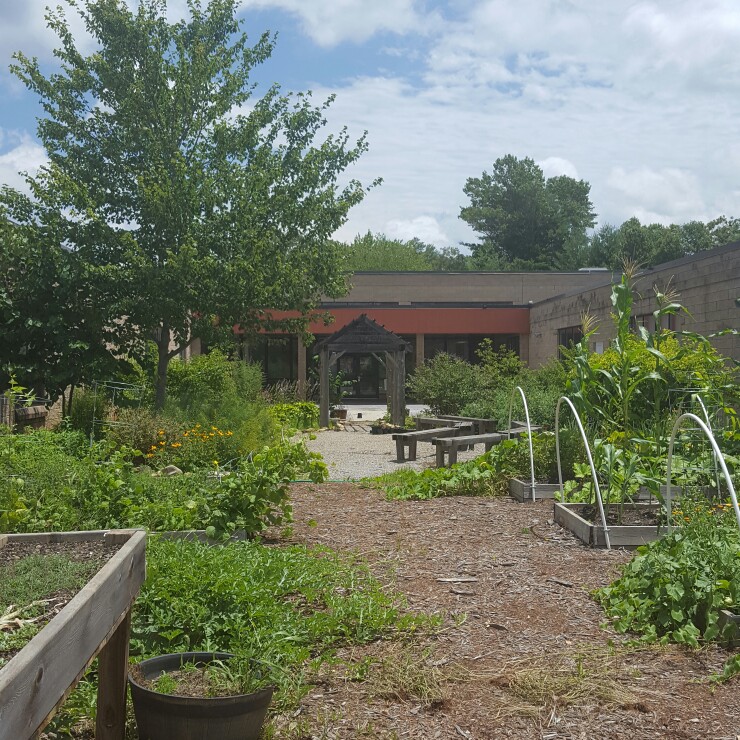 Tracy's garden