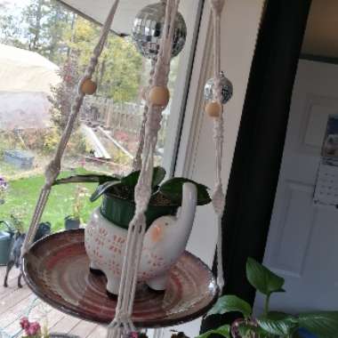 Michy ❤🌿's garden