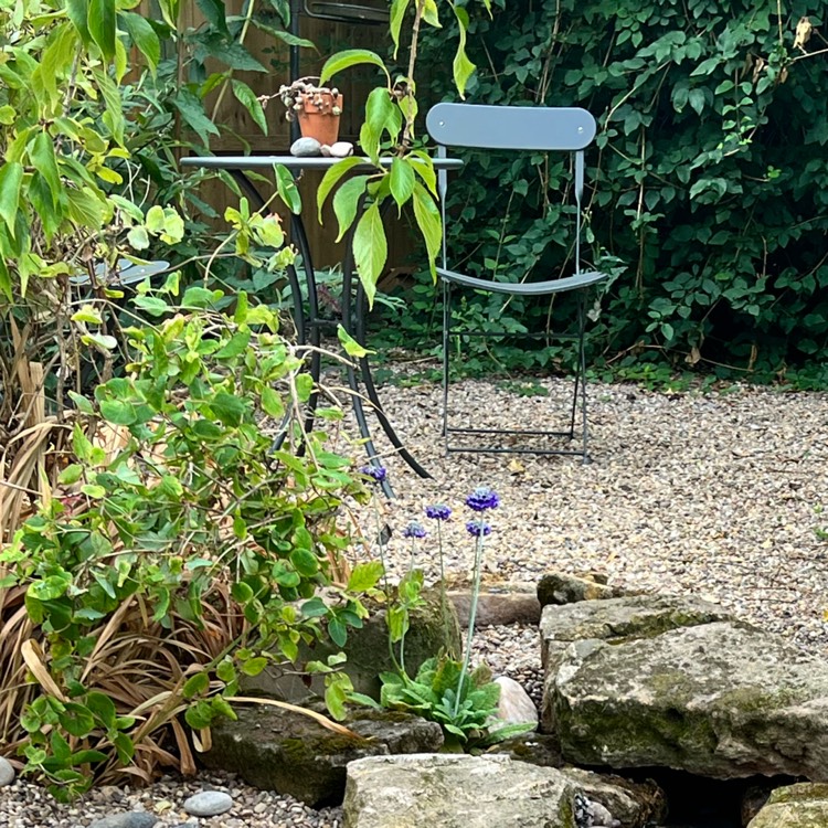 plant image 1631096