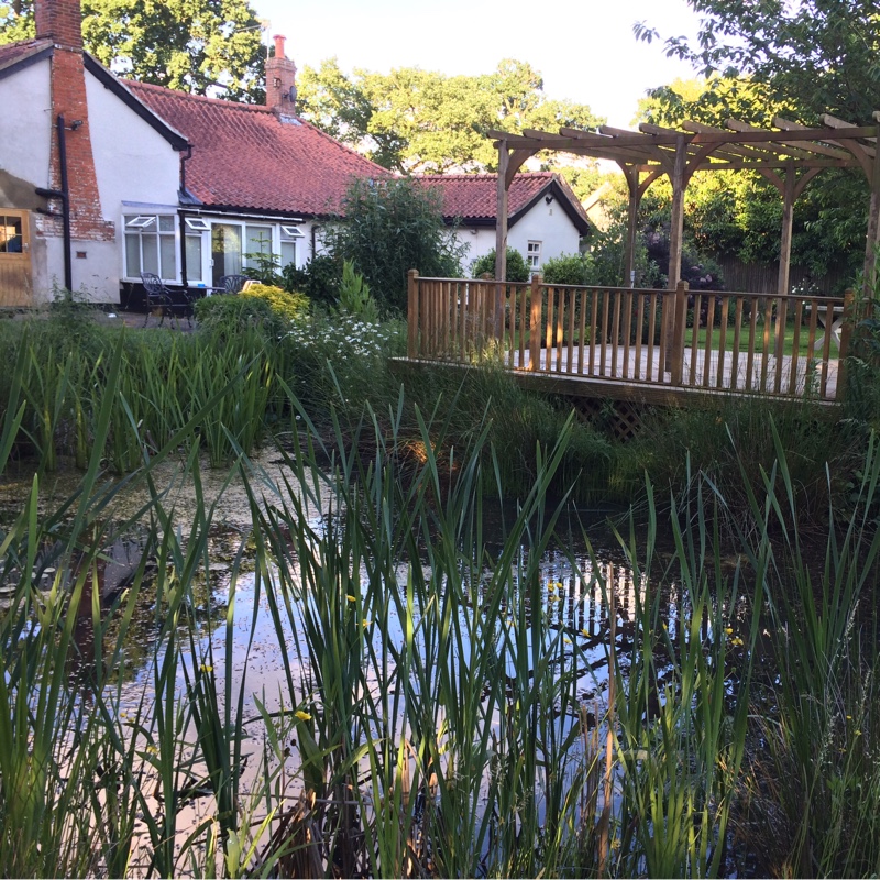 Sally's garden