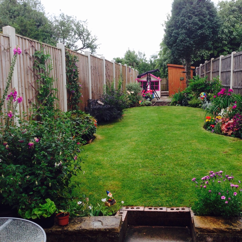 Marc's garden