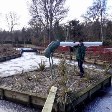 Gillie's garden