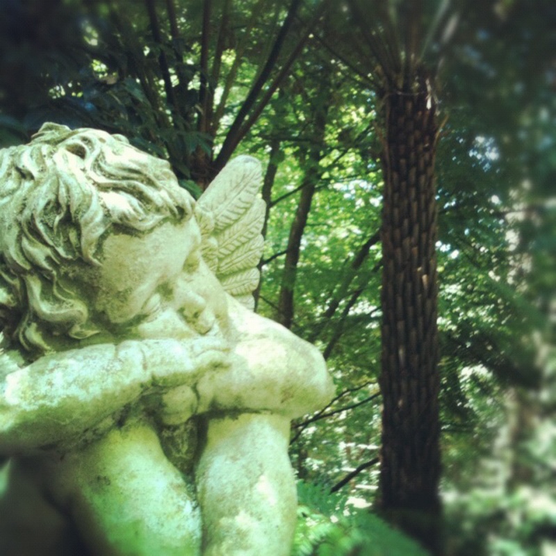Raema's garden