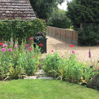 Diane's garden