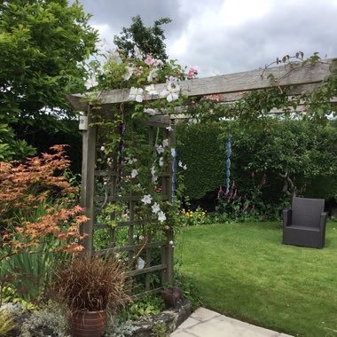 Diane's garden
