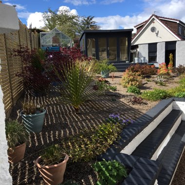 Shirley's garden