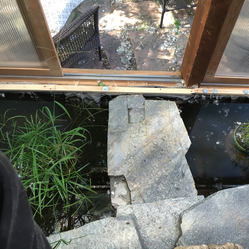 Bruce's garden
