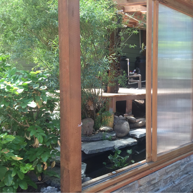 Bruce's garden