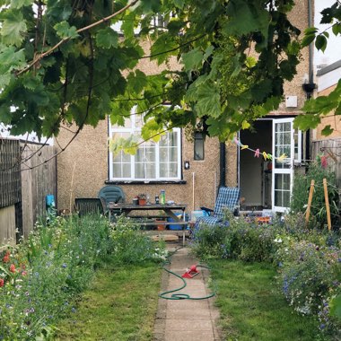Ben's garden