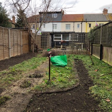 Ben's garden