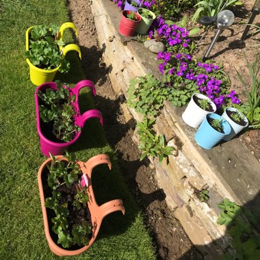Karen's garden
