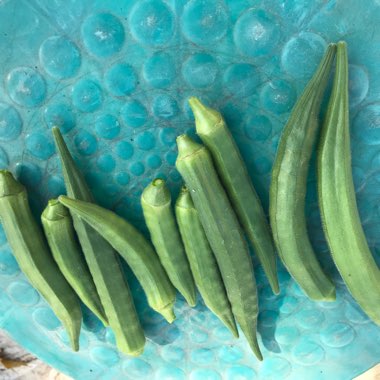 Okra