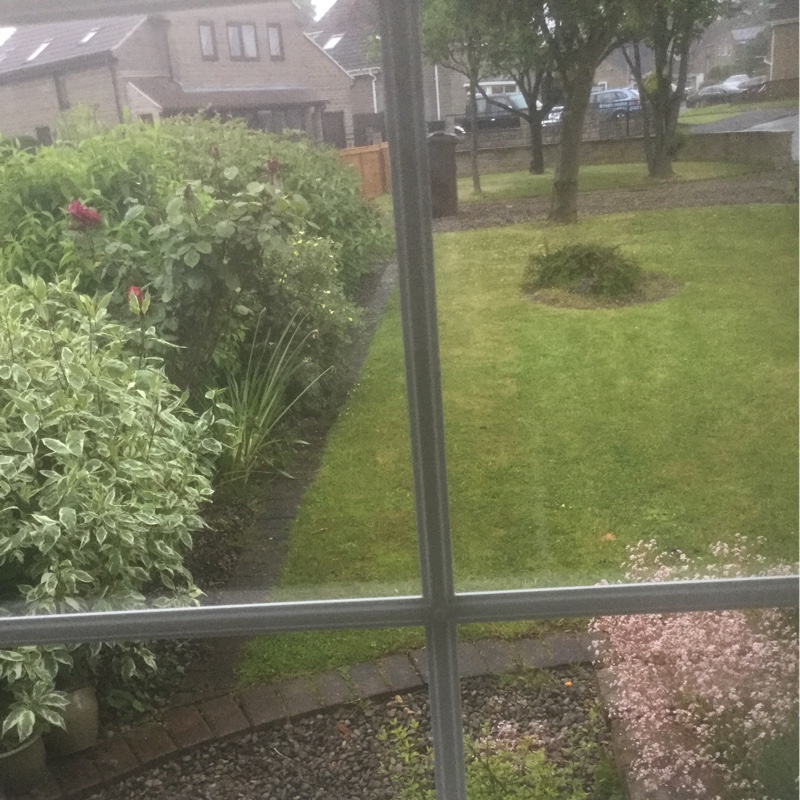 Brenda's garden