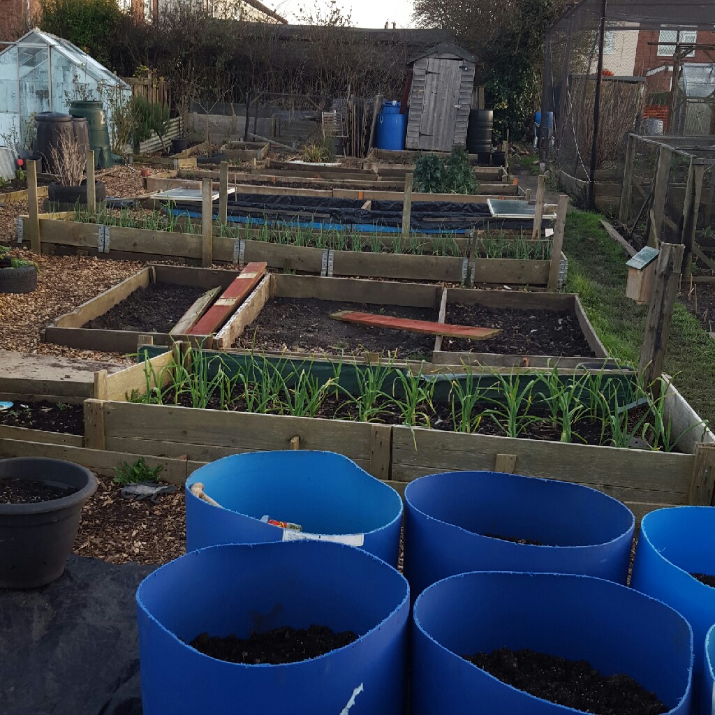 brett's garden