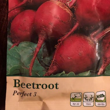 Beetroot