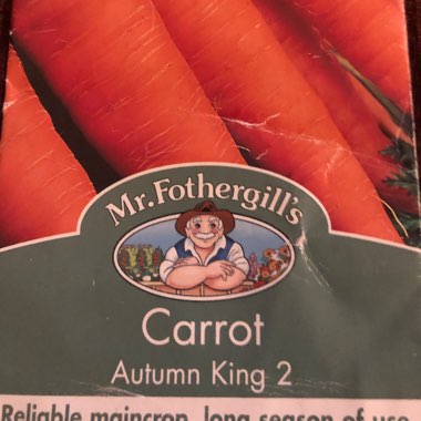 Carrot
