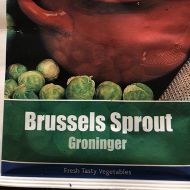 Brussels Sprouts