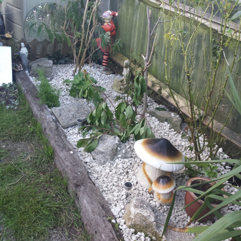 Bridgette's garden