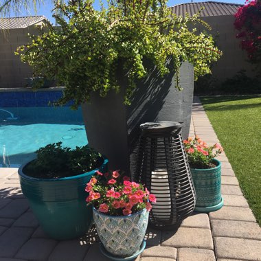 Brooke's garden