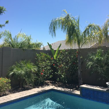 Brooke's garden