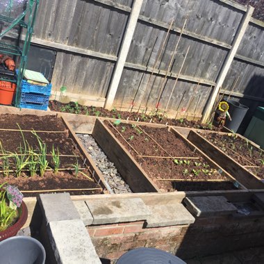 Jo's garden