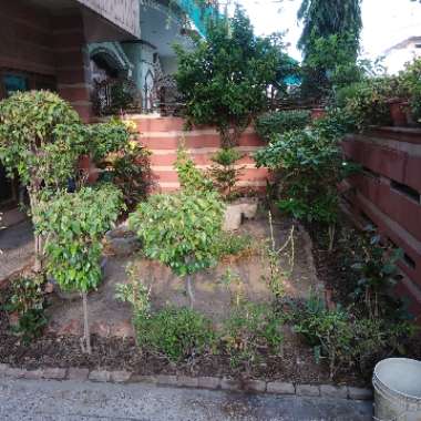 The Urban's garden