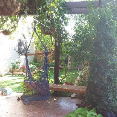 Rivka's garden
